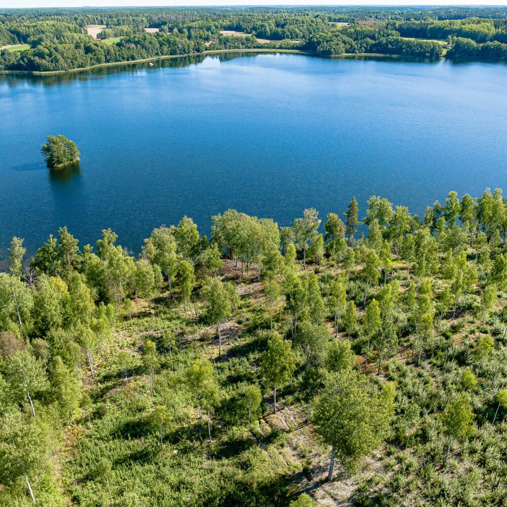 2022-09-07_Stjarnhov_12