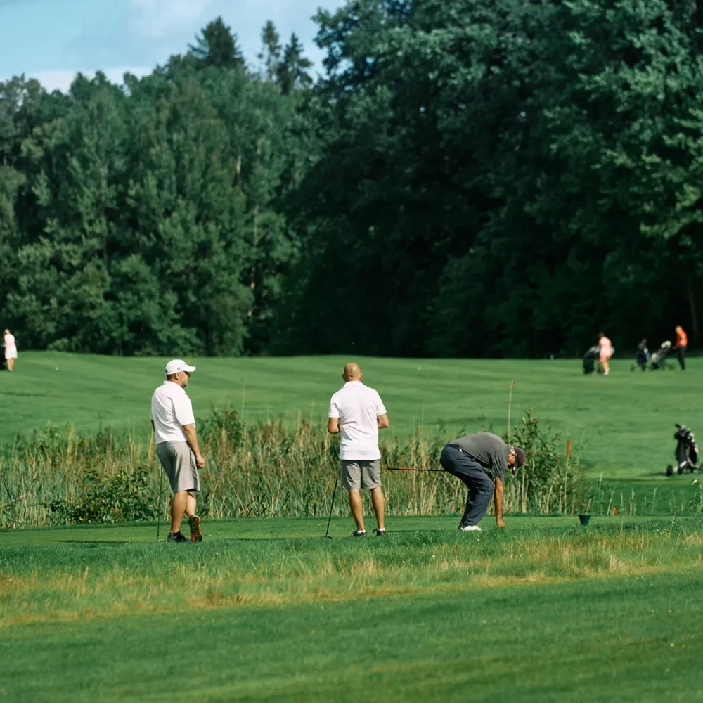 half-image-solbacka-11