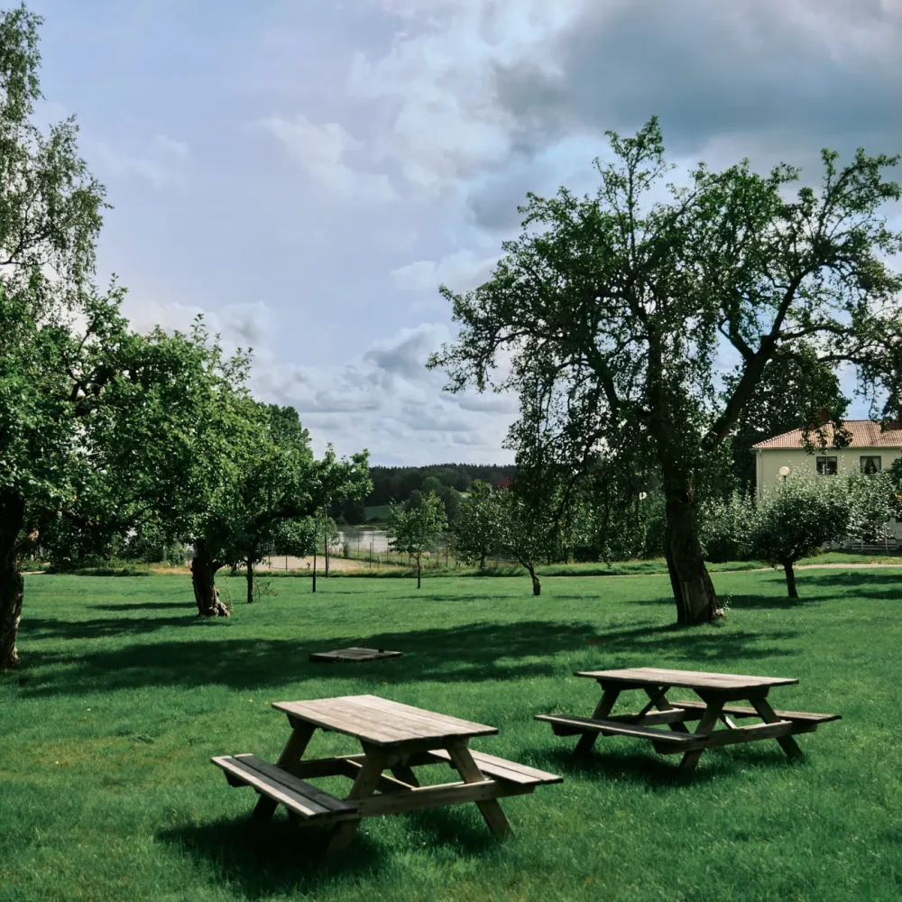 half-image-solbacka-2