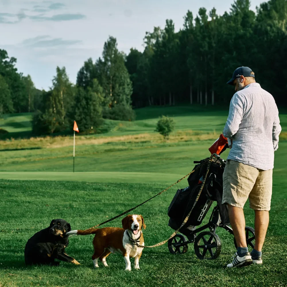 half-image-solbacka-7