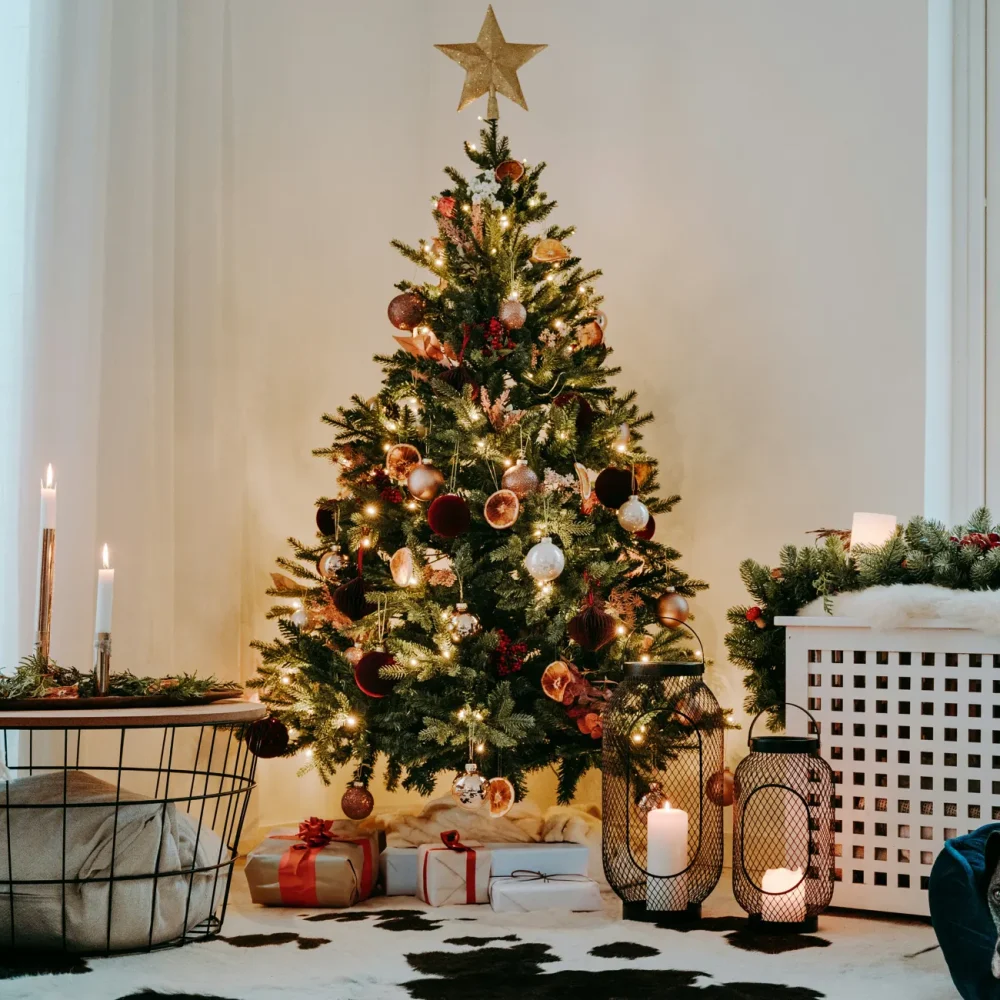 half-image-solbacka-8